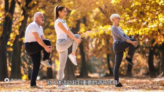 遗传性手心出汗原因,手掌经常出汗是癌症吗