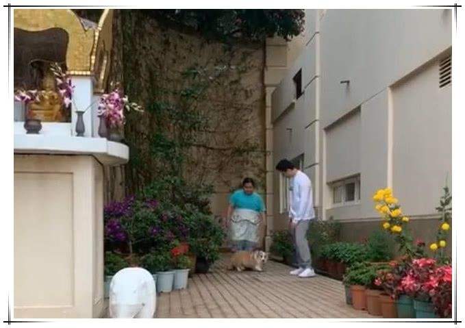 何超莲赌王最美千金,吴克群评价何超莲视频