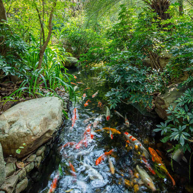 住野趣C位-广州长隆酒店！含高级客房+童趣乐园+广州长隆园区门票