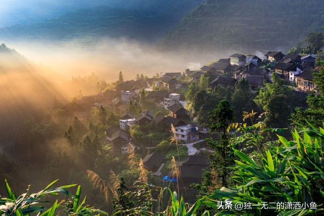 鏉戣秴vs娣勫崥鐑х儰,璐靛窞鏉戣秴娣勫崥鐑х儰鍦洪潰瀵规瘮