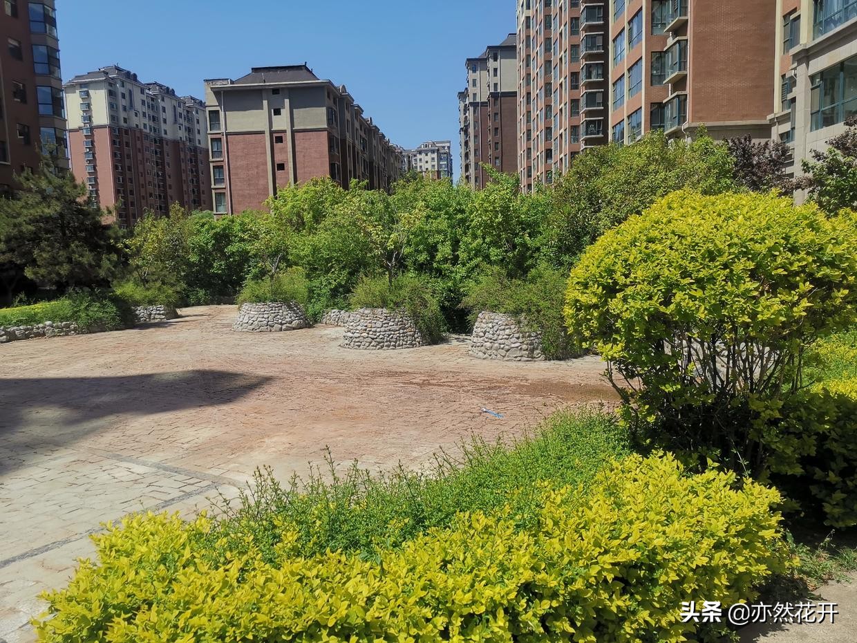 给同事写的感谢信怎么写模板,职场沟通感谢信怎么写格式