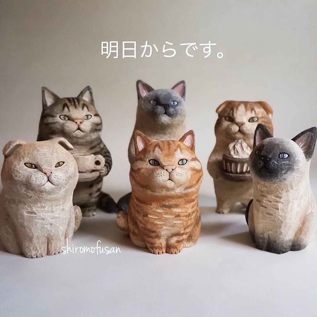 日本艺术家木雕猫,日本木雕艺术家猫