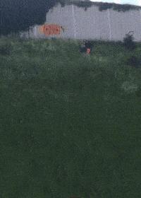 坐高铁遇到旁边老阿姨脱鞋,坐高铁遇到旁边阿姨脱鞋