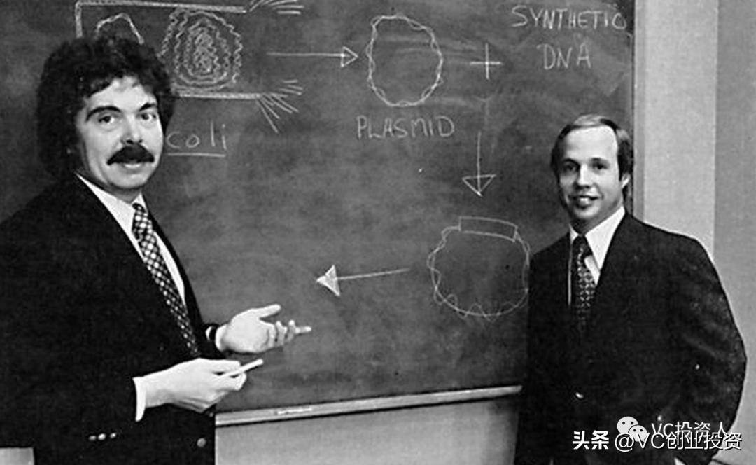 重回巅峰之路完整版,重回巅峰之路