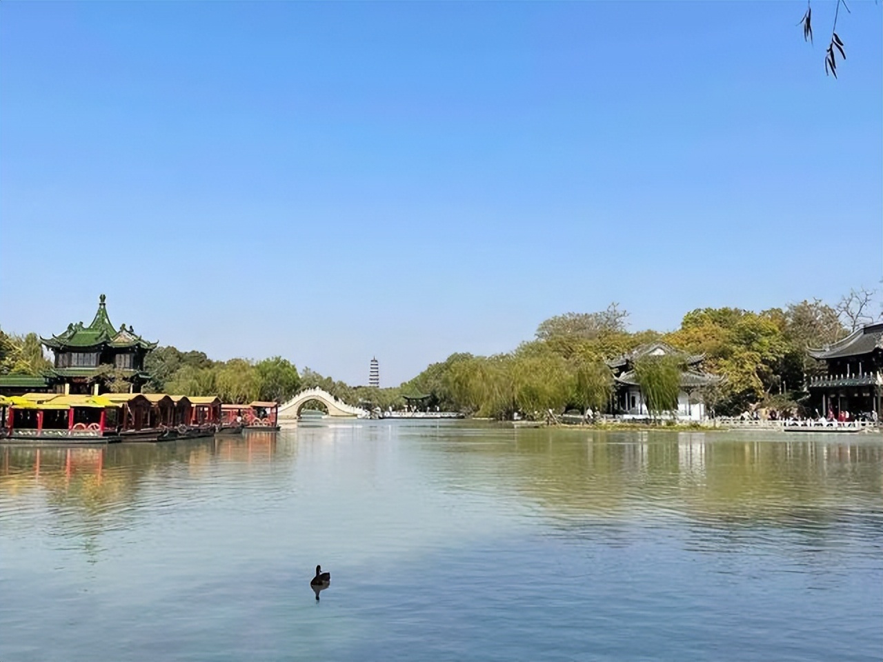 如诗如画的西湖诗句,描述西湖荷花的诗词