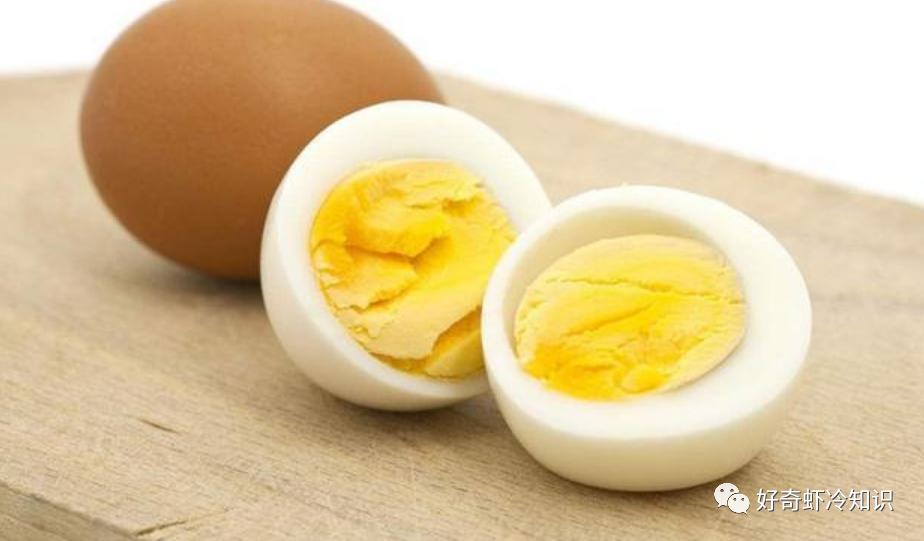 鱼类能发出声音?小朋友你是否有很多问好?飞在汽车里的苍蝇问题