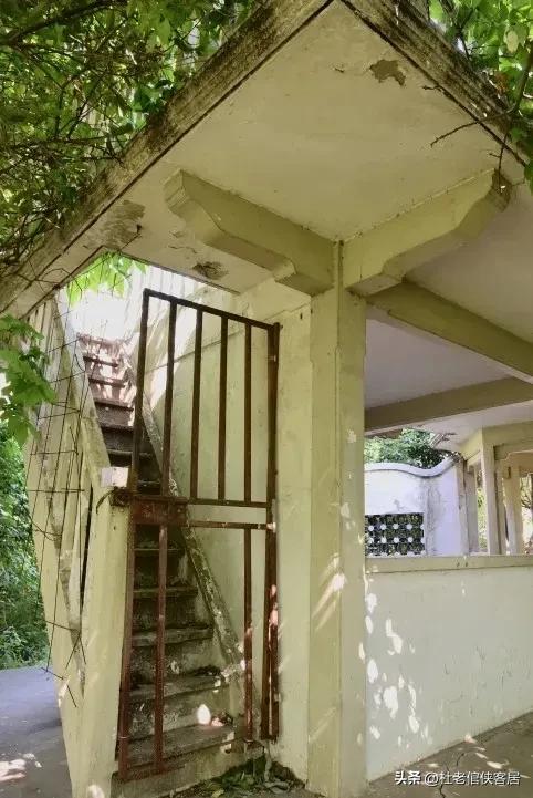 如风往事之——漫谈油菜花开与“白塔”