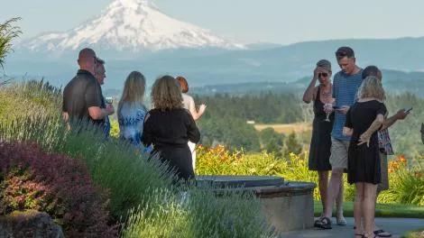 同样买酒庄,中国人和日本人的操作完全不同