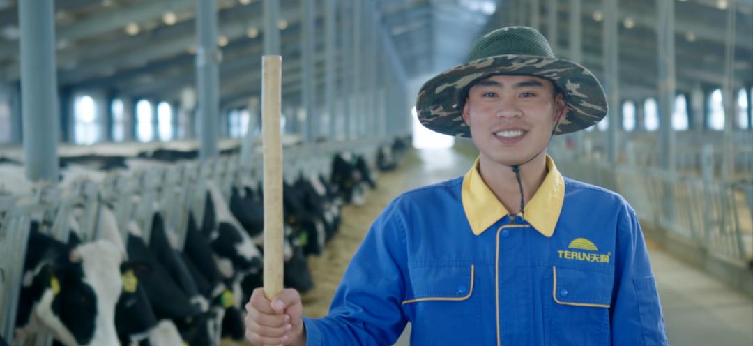 天润乳业介绍,深度分析天润乳业