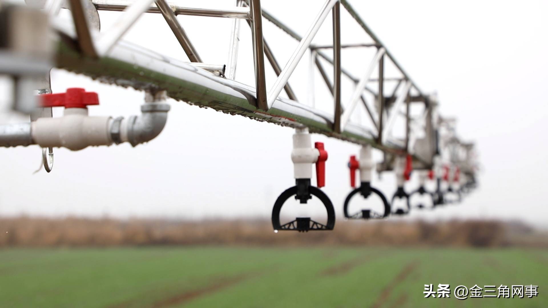 盐湖区金井乡农村,山西运城农业合作社运营模式