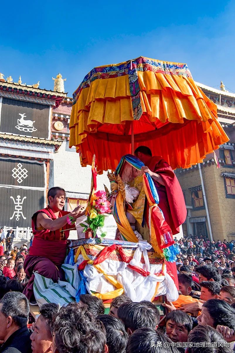 我国哪里盛产火龙果,全国最大的火龙果基地是哪里