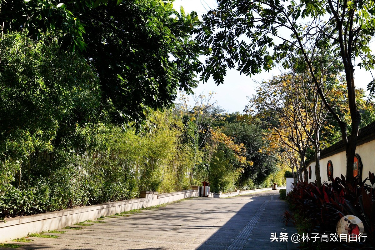 福州最新玩法,福州市区游玩攻略