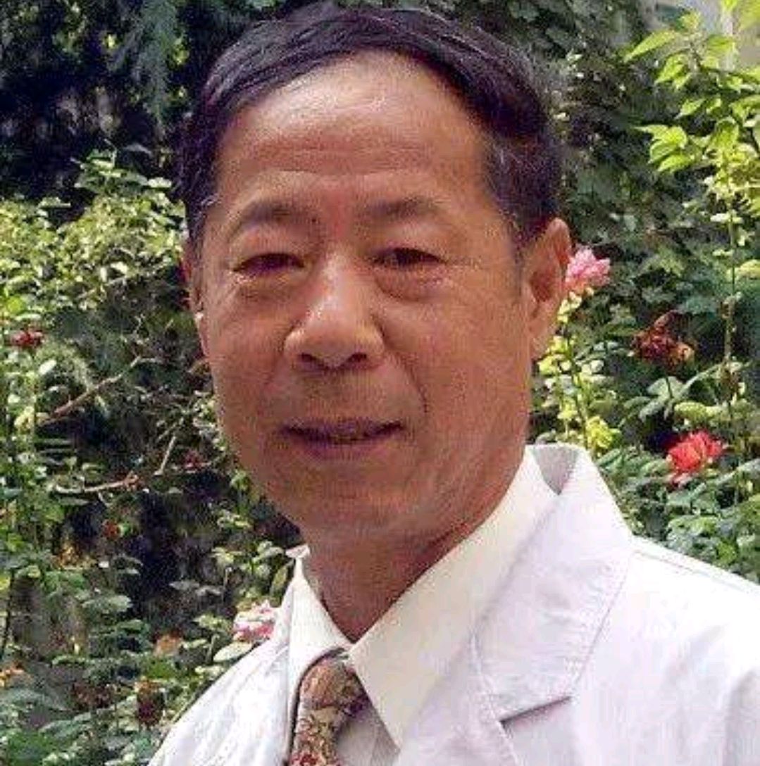 张炳厚医术怎么样,医林怪杰张炳厚在线阅读