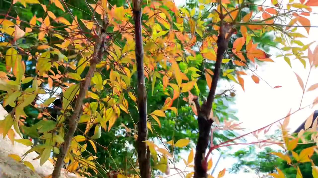 怎么正确找热点蹭热点,关联小热点怎么蹭热点