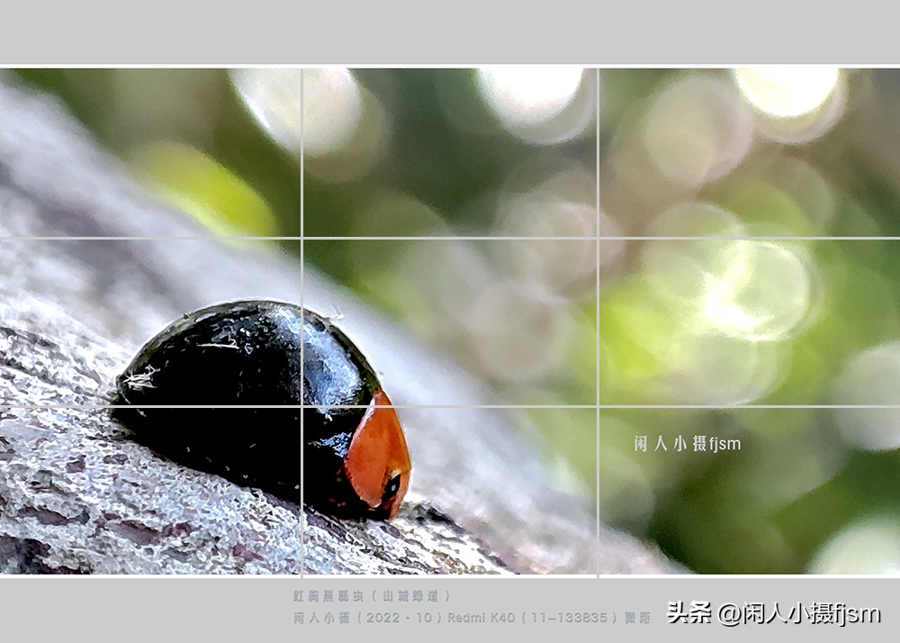 手机摄影构图技巧全解,玩转手机摄影一学就会的构图技巧