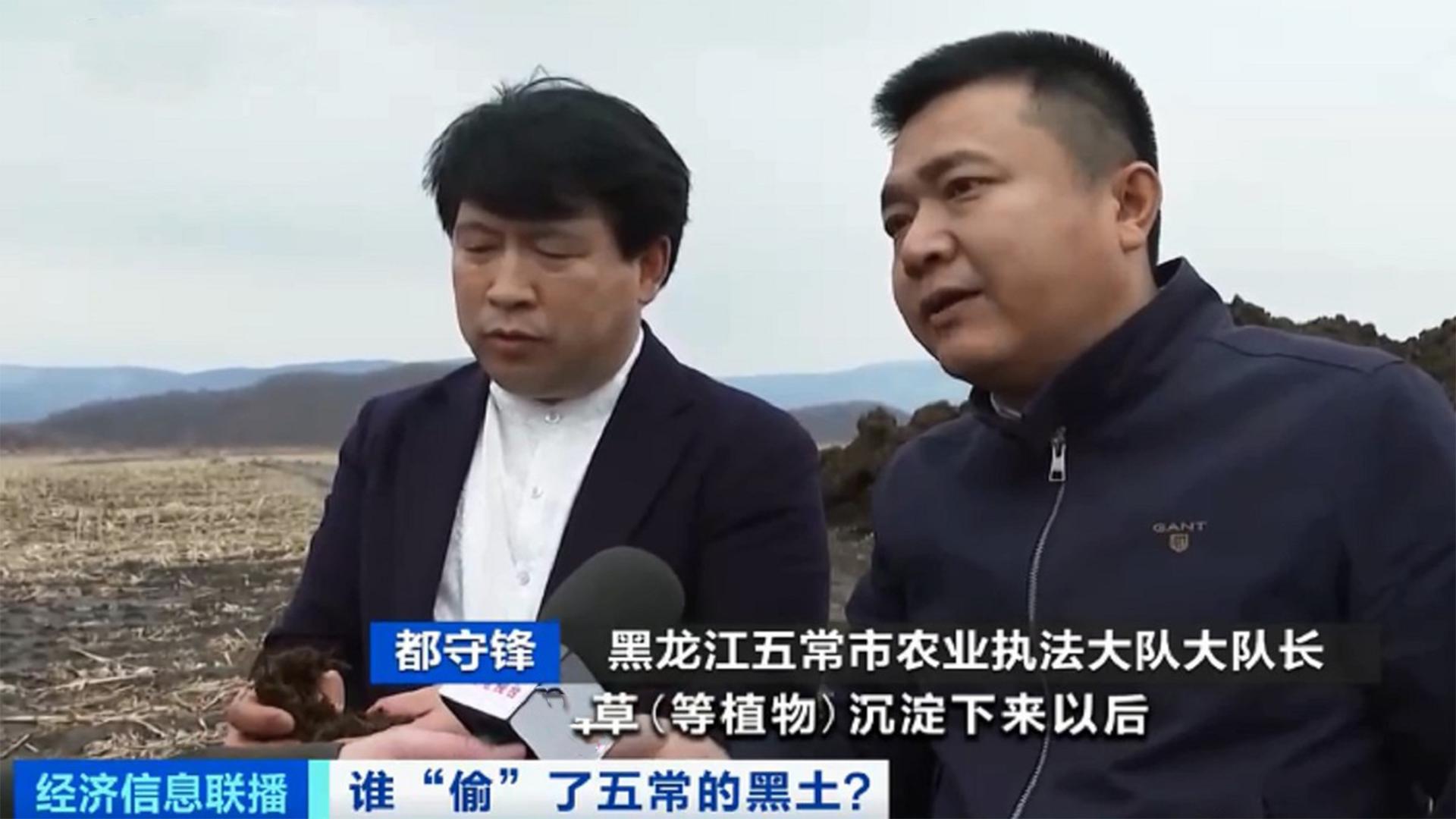 东北黑土地耕地中的大熊猫,东北黑土地保护大熊猫