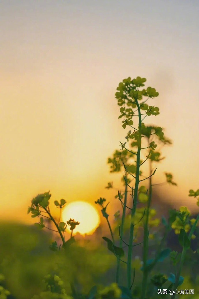 抖音热门文案爱情配图伤感,情感语录抖音配图文案