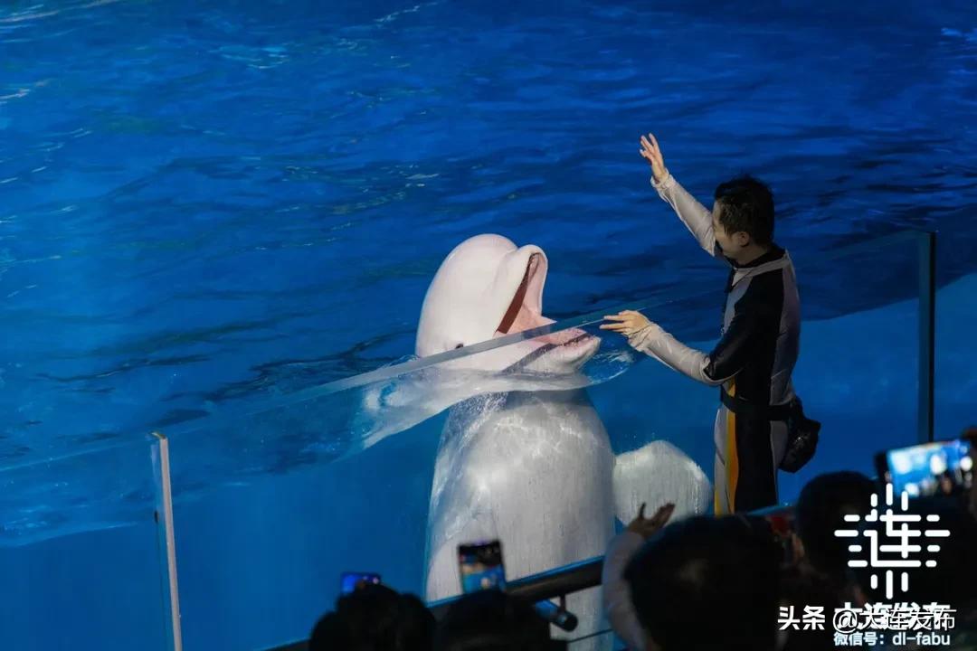 7天7.48亿，↑54.55%！