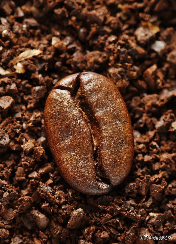 什么牌子的咖啡豆最正宗好喝又香,咖啡豆推荐意式咖啡顶级