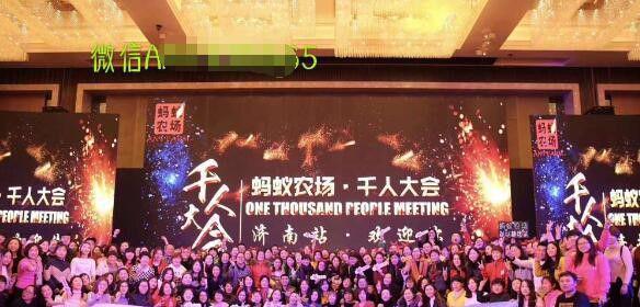 青汁动物饲料,动物饲料青汁