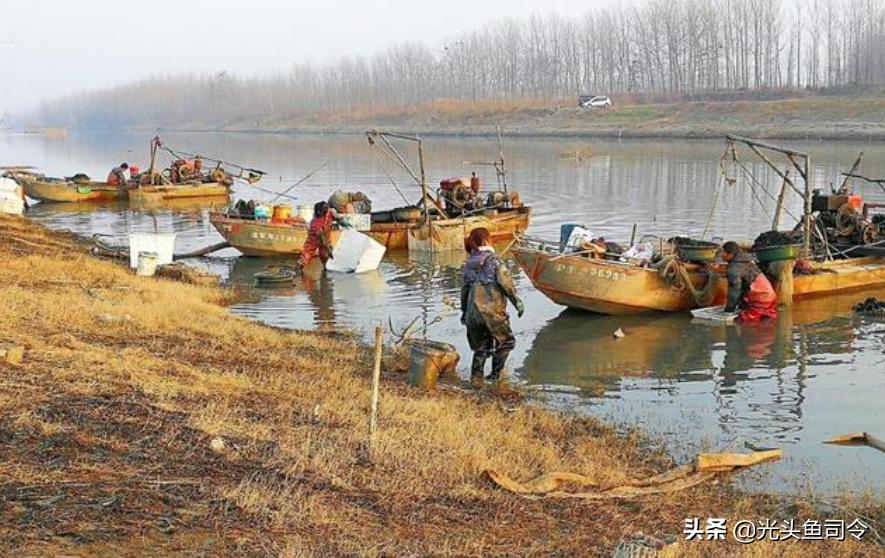 臭水沟捞到金龙鱼,捕捞臭水沟红虫