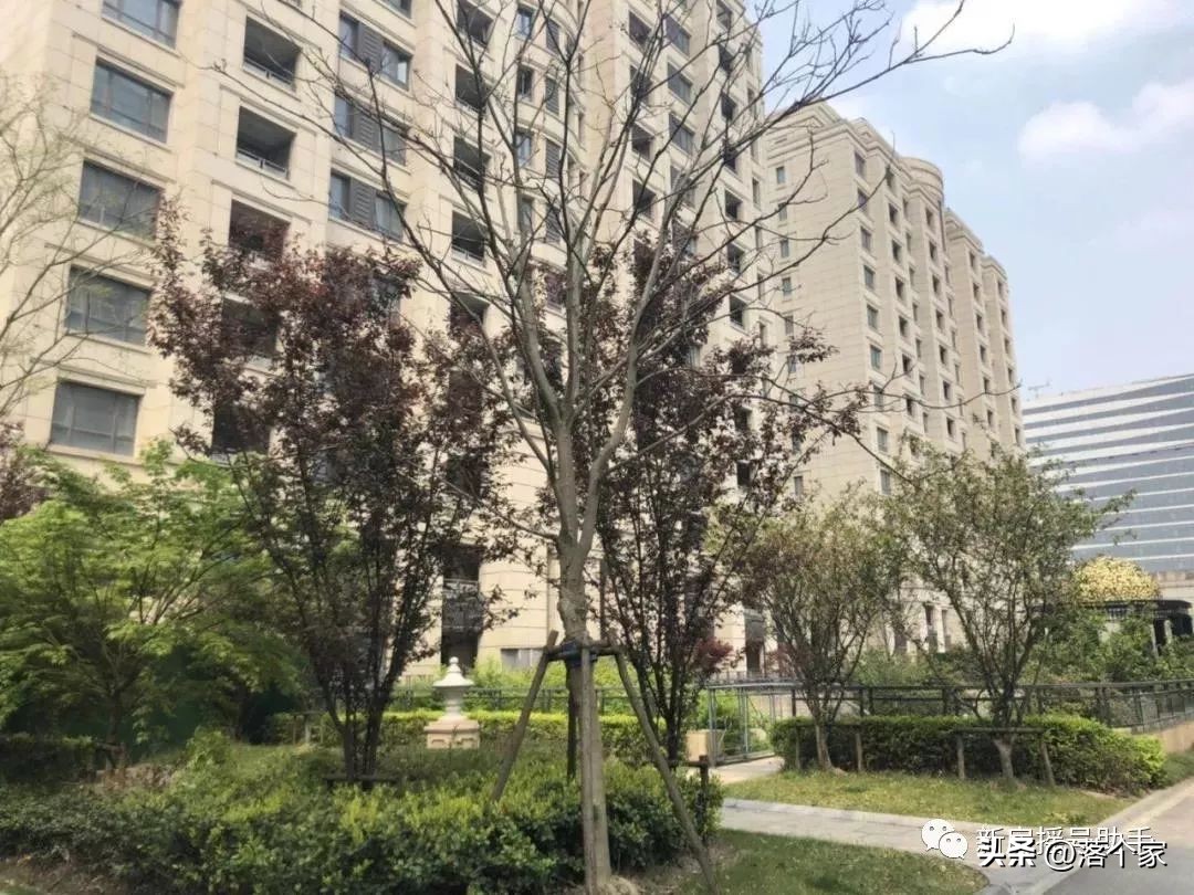 浦东「森兰壹公馆」西地块户型图首发！建面约49-164㎡四季度入市