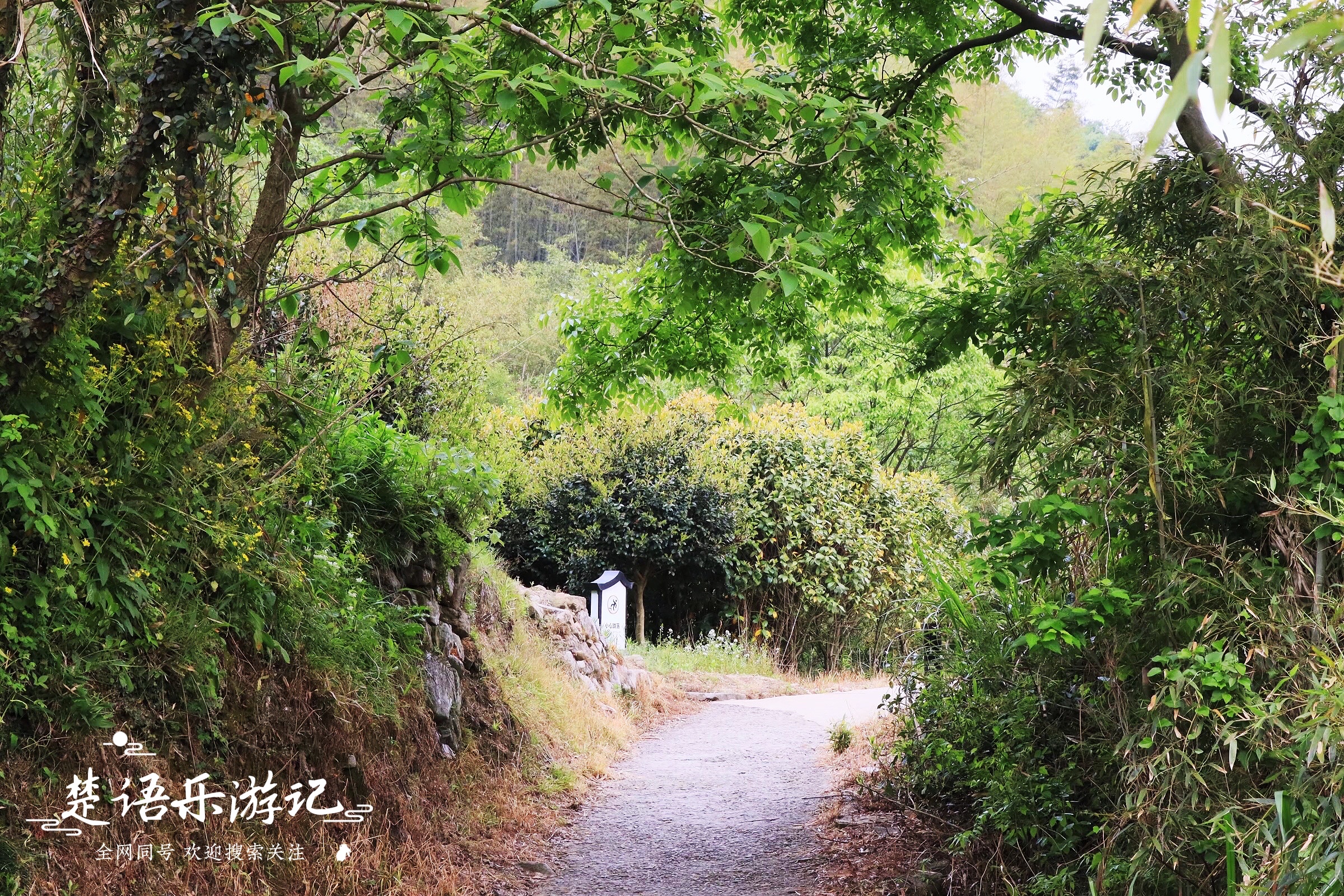宁波东钱湖古村网红打卡地,宁波东钱湖湿地秘境