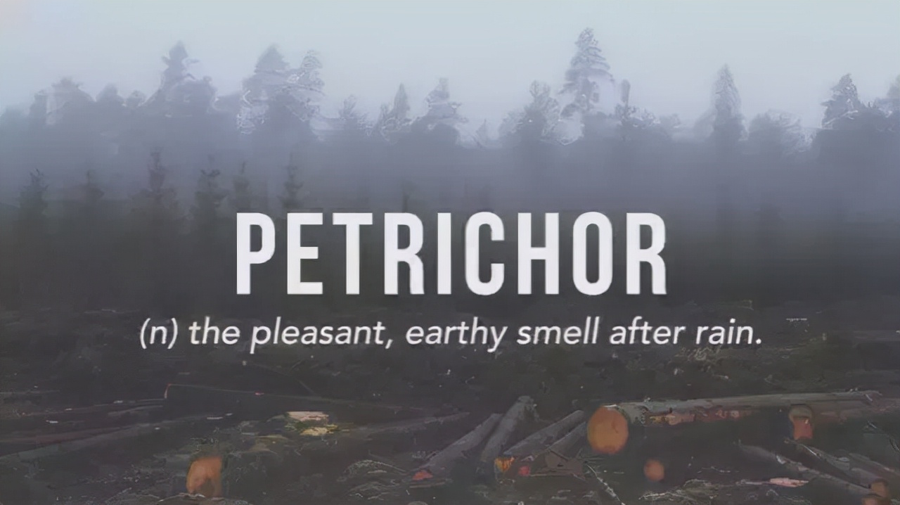 英语个性签名唯美,英语的个性签名