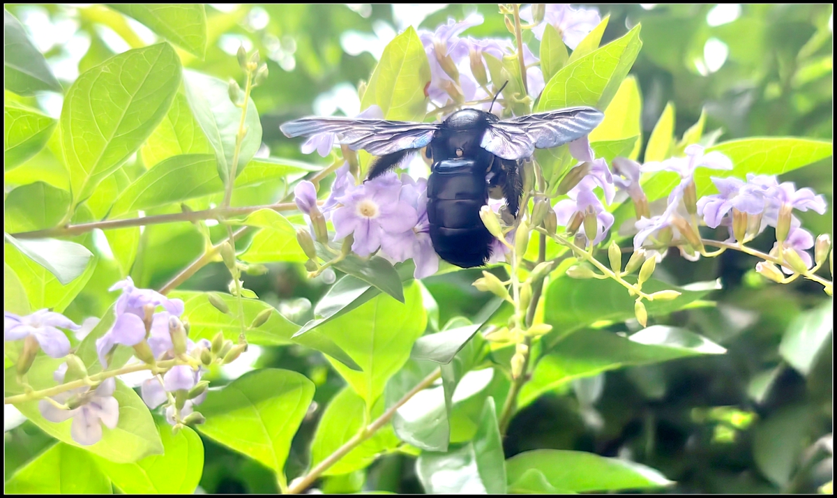 古人劝学诗句大全,古人的劝学诗有哪些