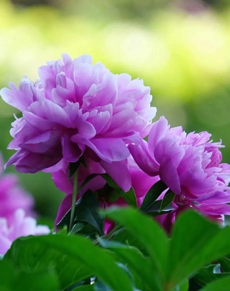 学会变速,学会刹车才能跑得更远