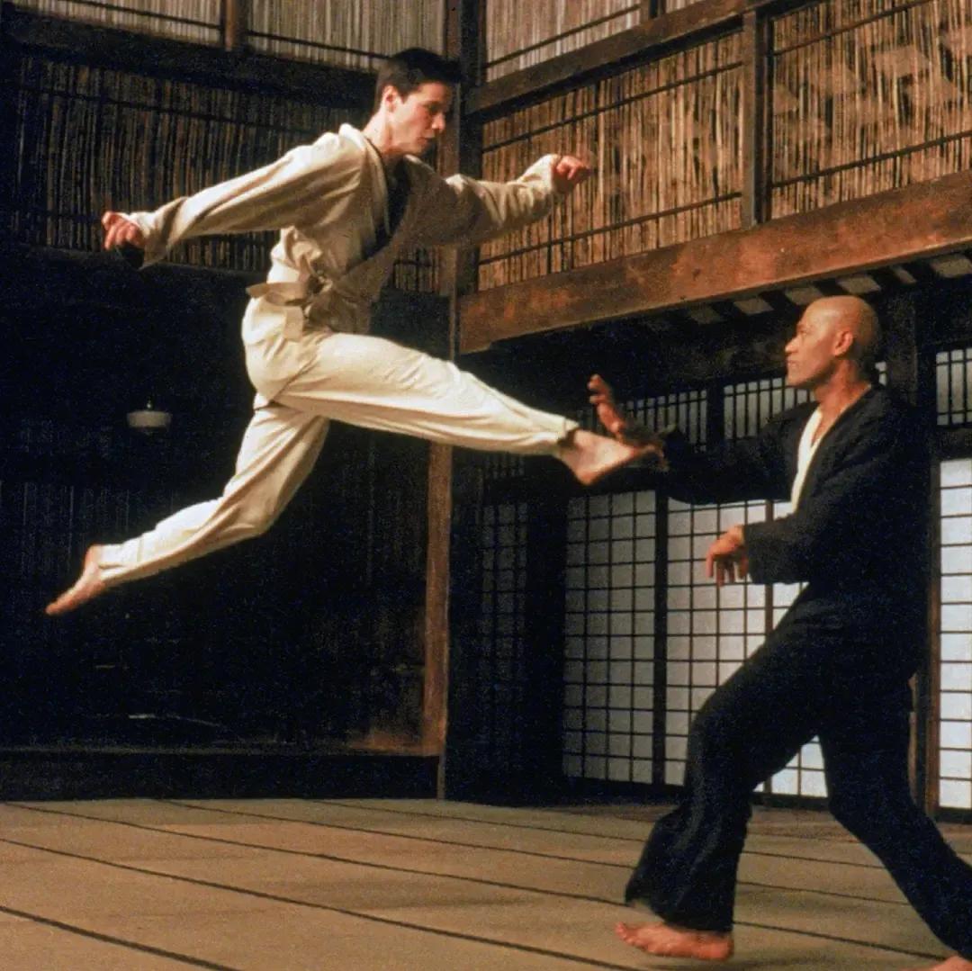 功夫电影推荐大片9.0以上评分2020,英国评选2005年十大功夫电影