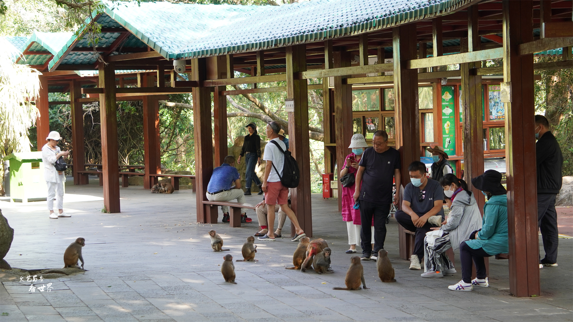 三亚猴岛的猕猴的禁闭室,海南猴岛禁闭室