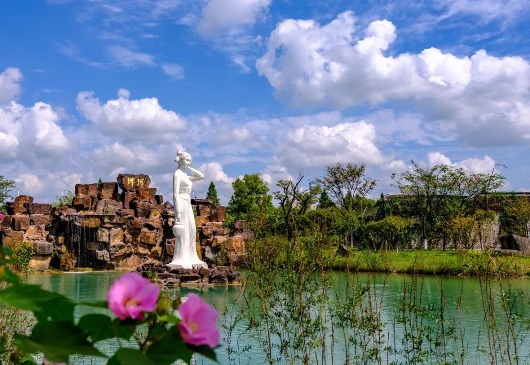 洋河股份升级了吗,洋河能崛起吗