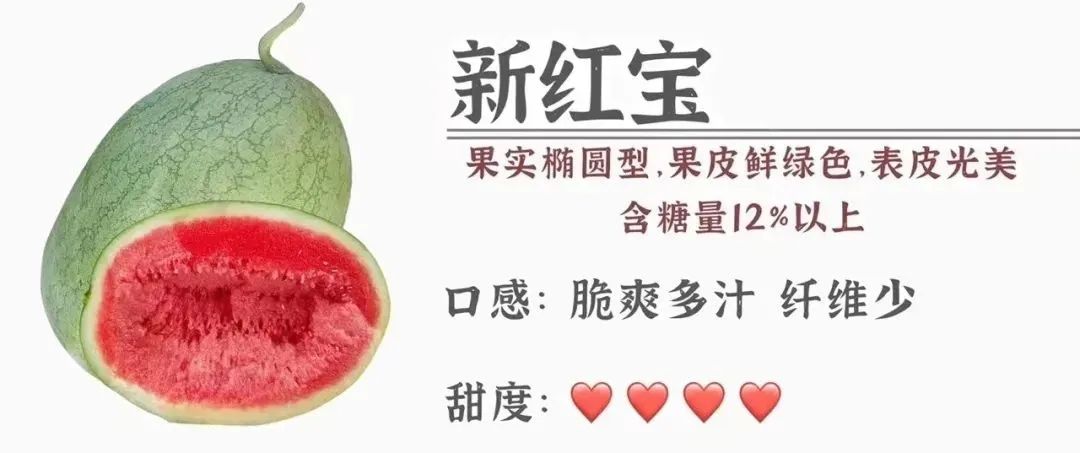 三伏天如何做一个合格的吃瓜群众,三伏天要怎么做怎么吃