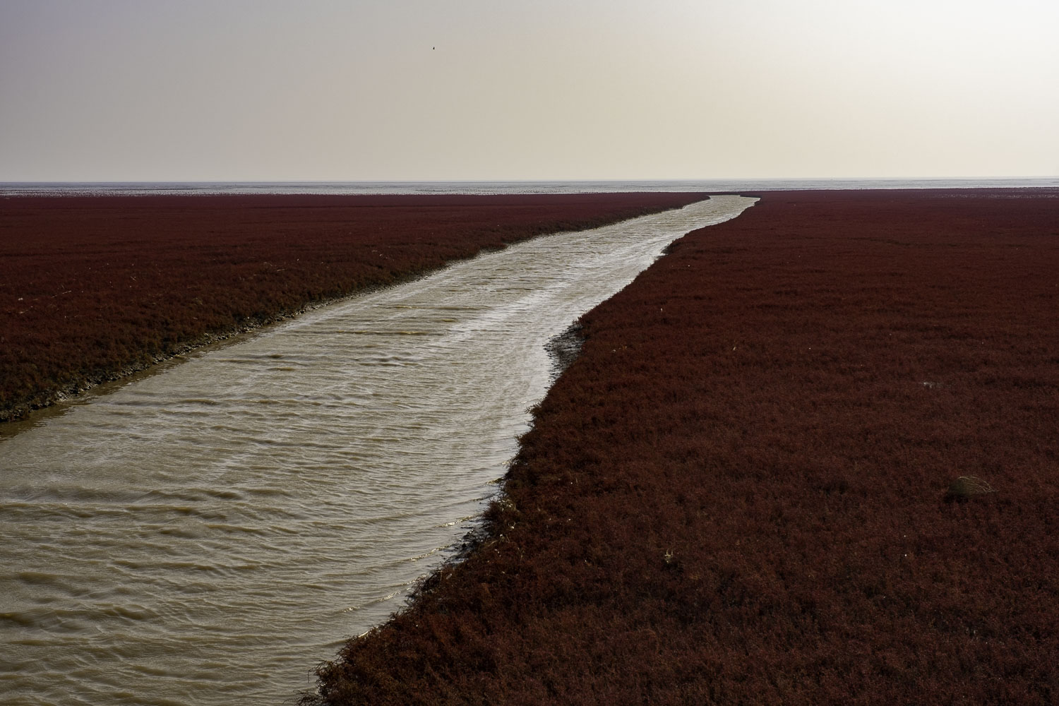 盘锦红海滩三角洲入口,沈阳自驾盘锦红海滩