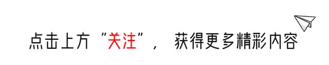 杨阳前程似锦,杨阳洋国家队