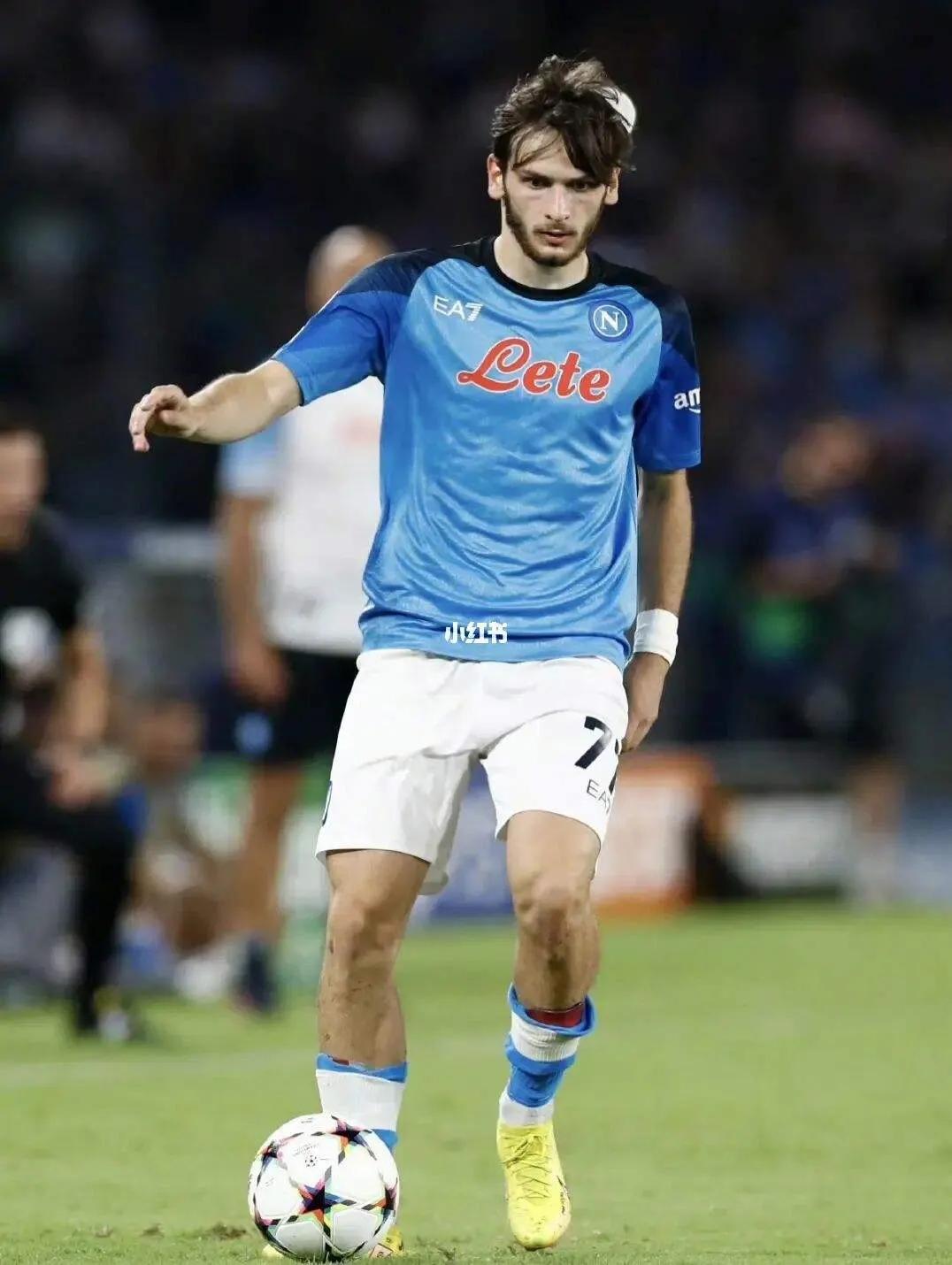 马尔蒂尼赛季选择,术业有专攻理论