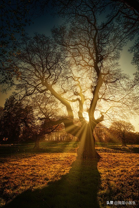 抑郁症患者得抑郁症的全过程,反应性抑郁症和抑郁症有啥区别