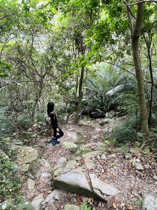 lowa登山鞋换底对比图片,lowa登山鞋正品鞋盒