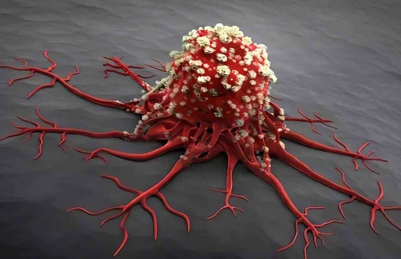 血型决定生命哪种血型易得癌症,o型血型寿命排行