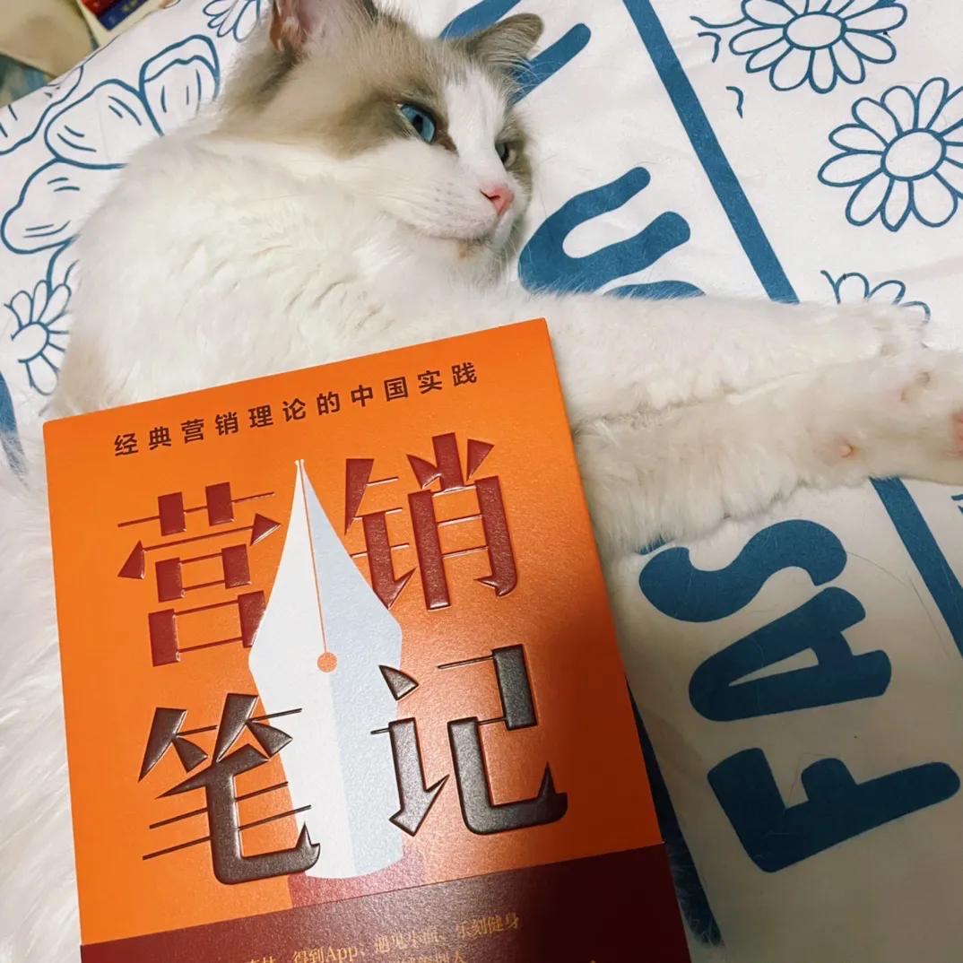 7句经典脑白金广告词大全,脑白金广告词的分析