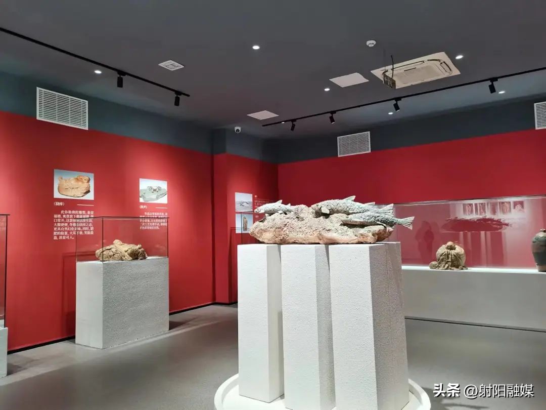 日月岛tobevillage帐篷露营音乐节,日月岛看海的地方