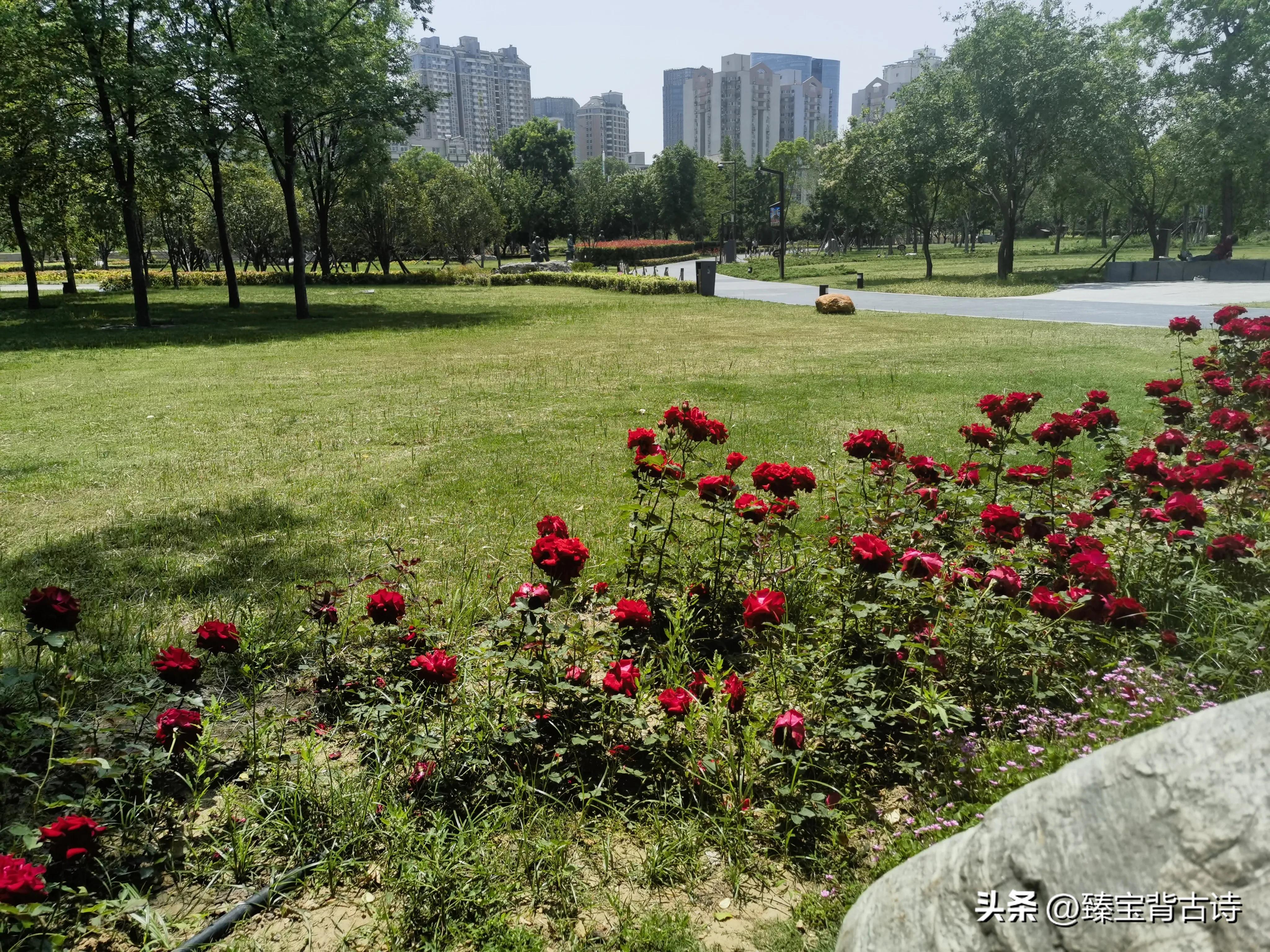 刘邦项羽古诗文,刘邦项羽写的诗词名句