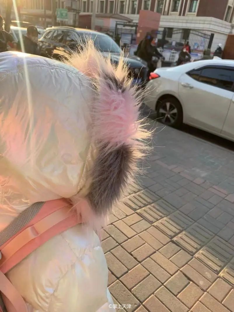 天津这两天能正常开学吗,直击天津开学首日情况