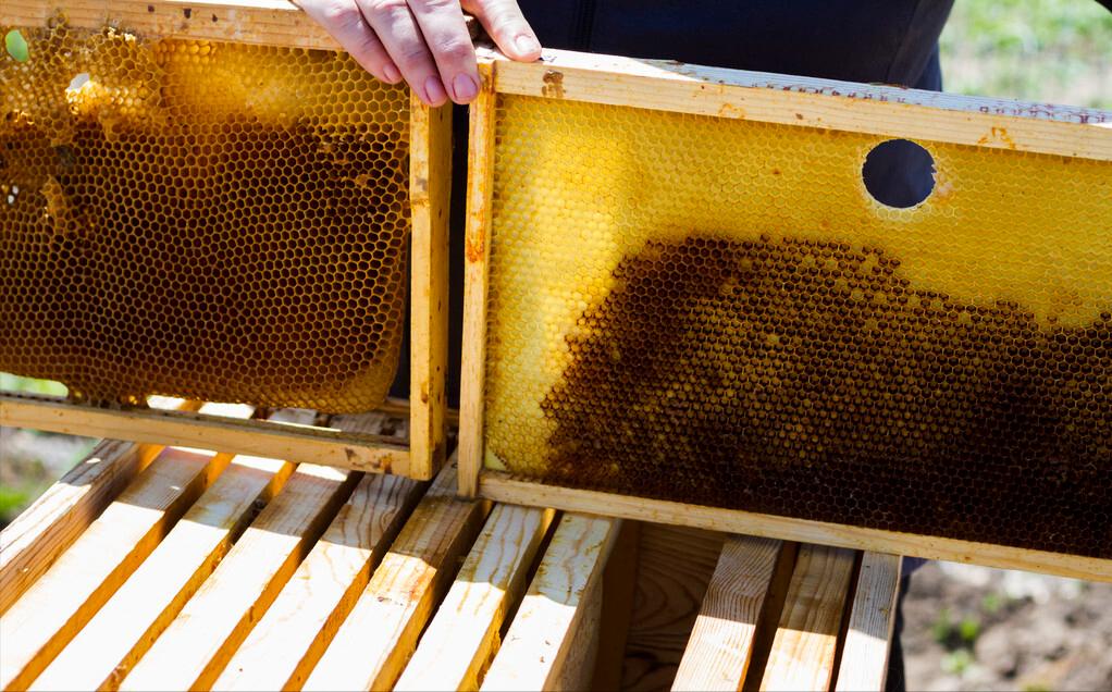 十块多蜂蜜造假,解密勾兑蜂蜜