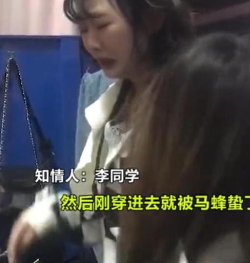 被马蜂蛰的女大学生,隔着裤子被马蜂蛰了