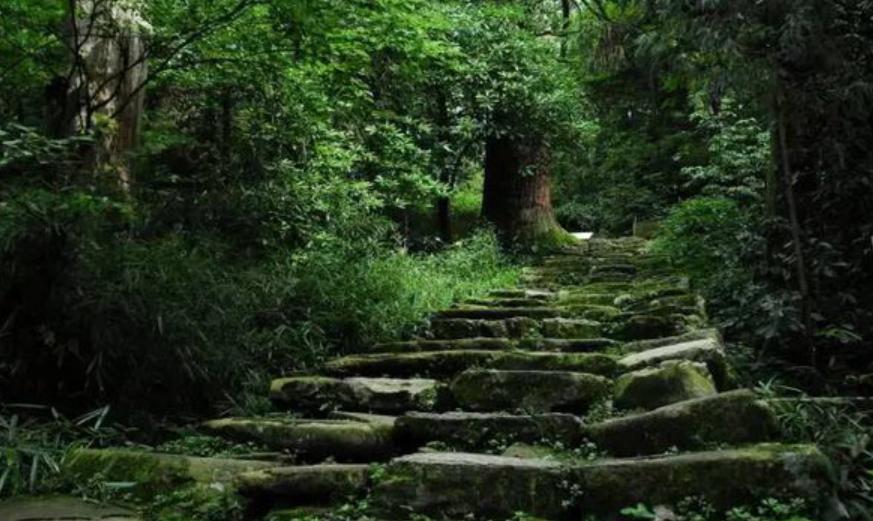 离离原上草古诗讲解,离离原上草全诗的诗名变了吗