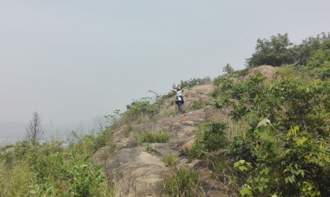 爱旅经常组织的市内登山路线，传说健康的人都去了这里......