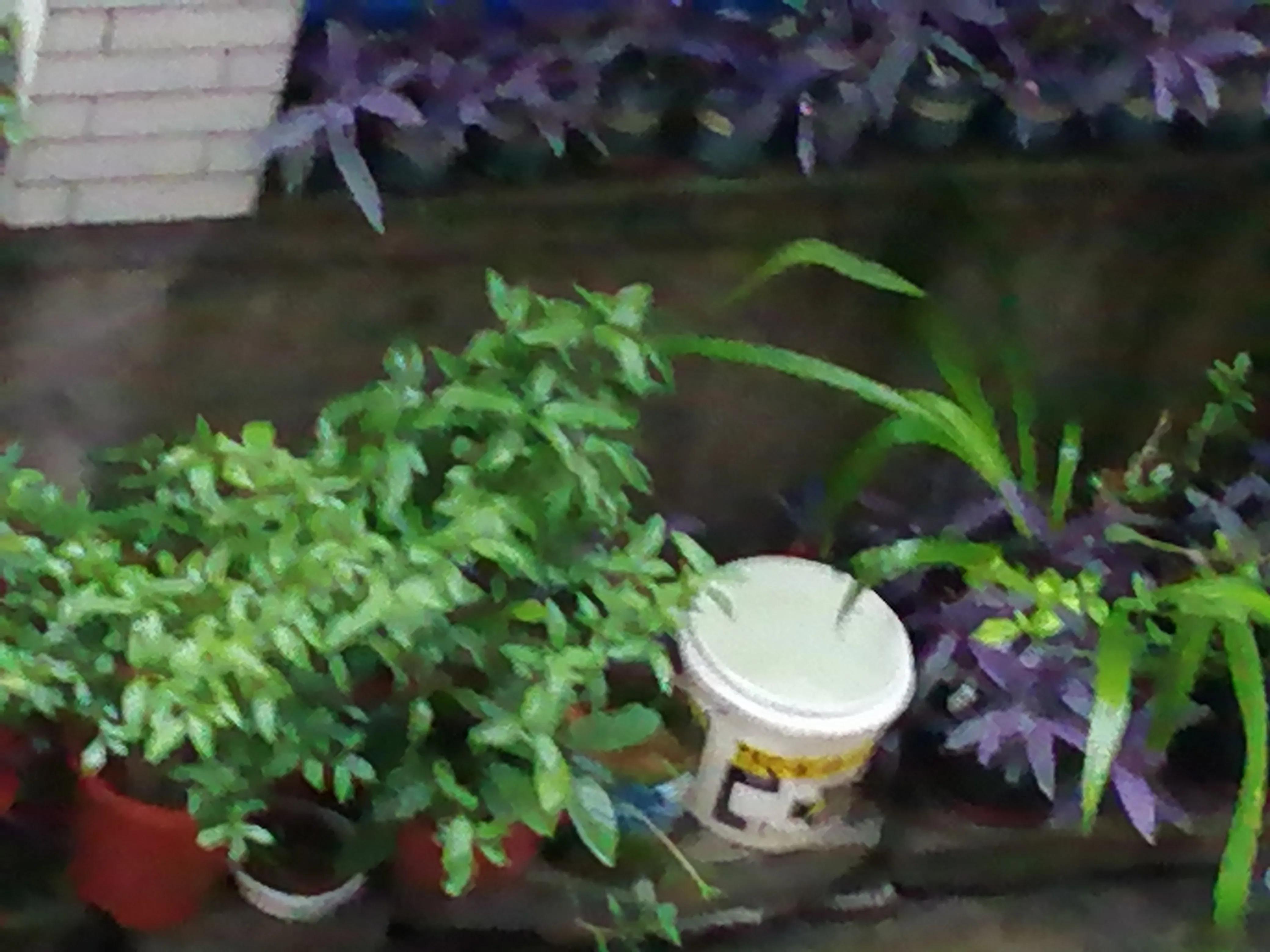 为什么别人拨打我的电话没有显示,别人手机显示我的来电有图片