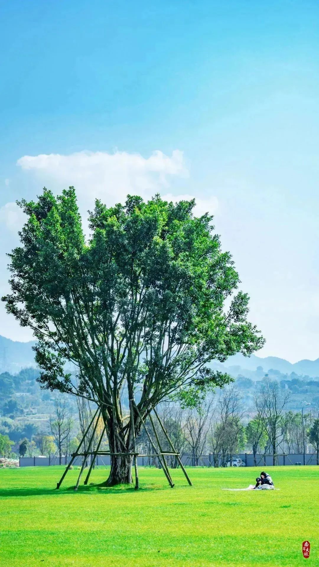 看重庆，来南岸|不看南岸这些地方，就不算到过重庆